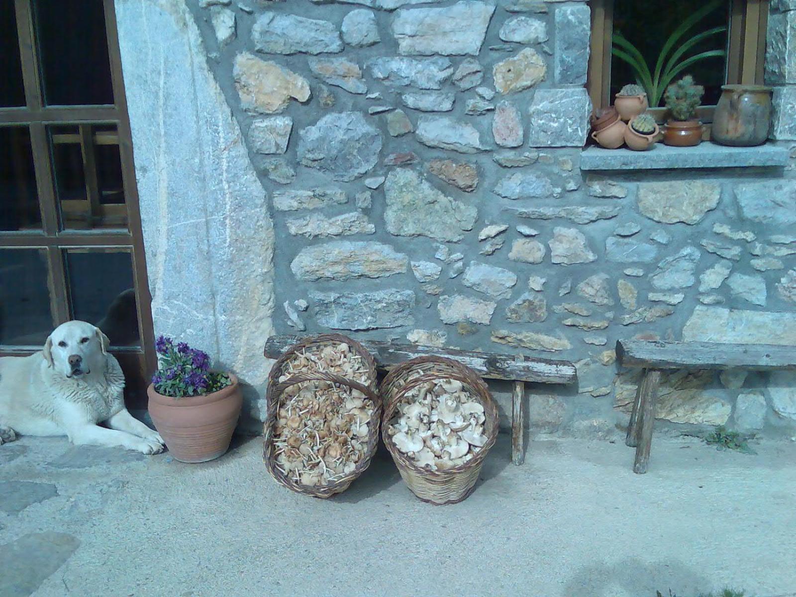 Els Torrents Hotel Bellver De Cerdanya ภายนอก รูปภาพ