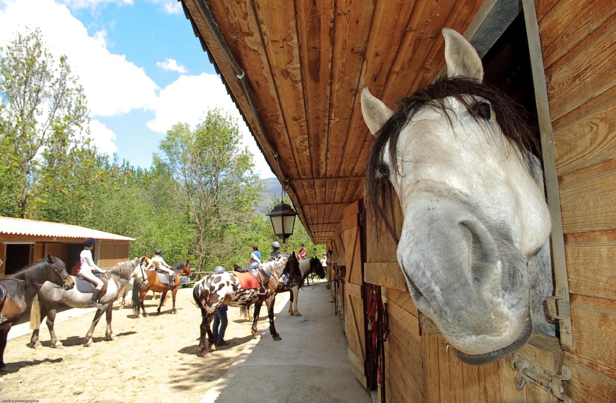 Els Torrents Hotel Bellver De Cerdanya ภายนอก รูปภาพ
