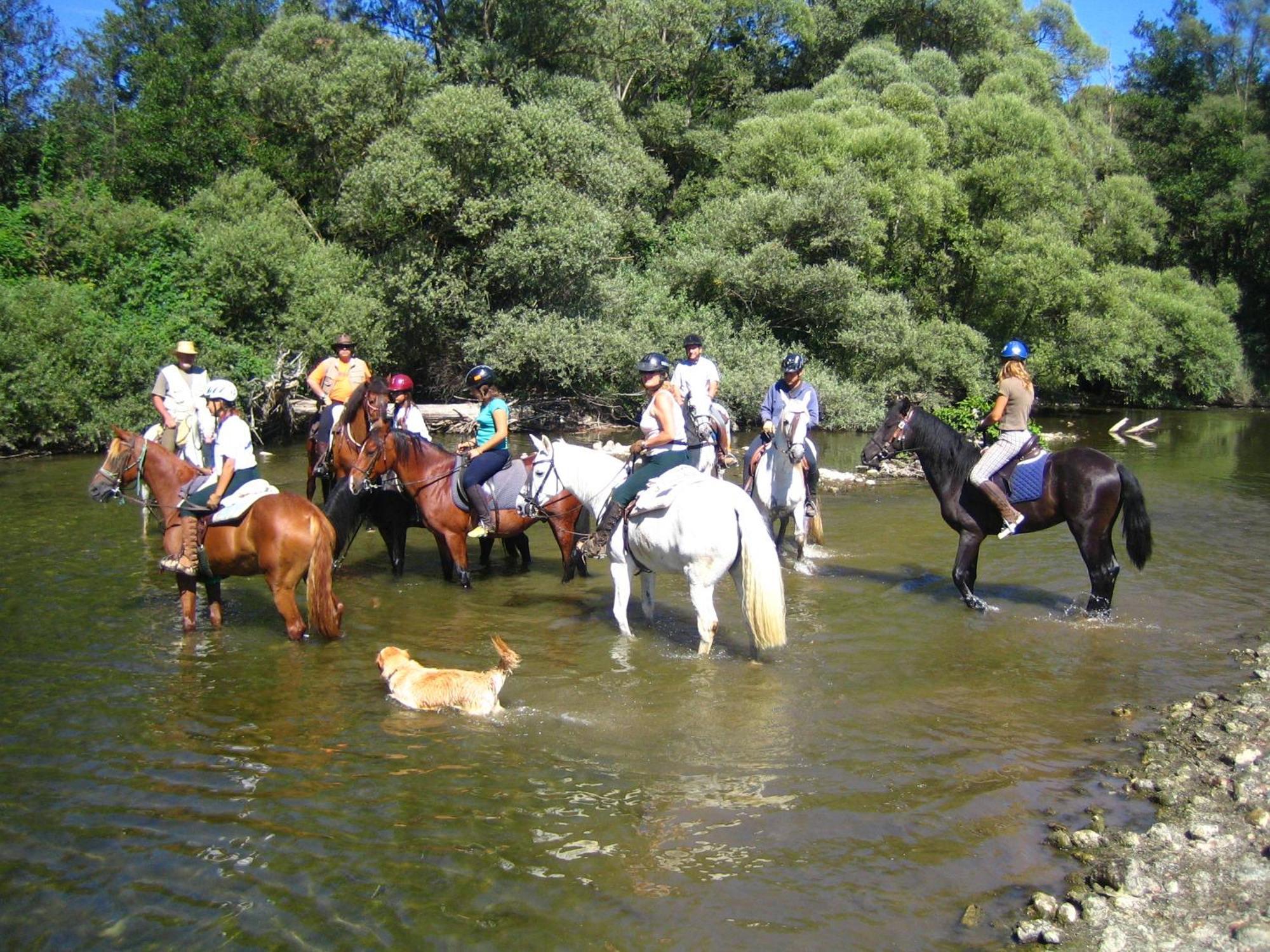 Els Torrents Hotel Bellver De Cerdanya ภายนอก รูปภาพ