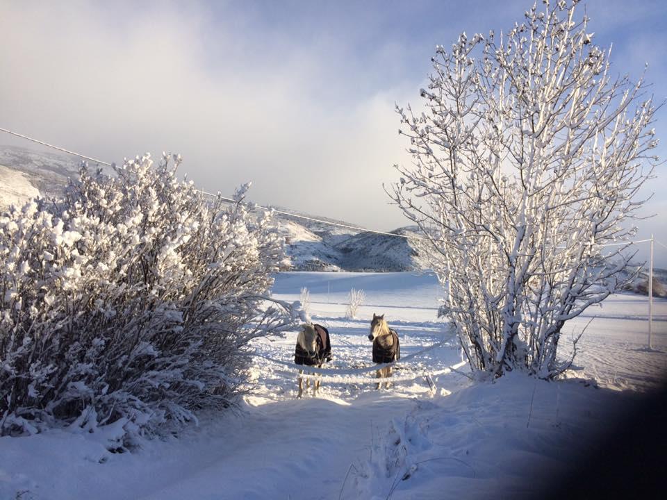 Els Torrents Hotel Bellver De Cerdanya ภายนอก รูปภาพ